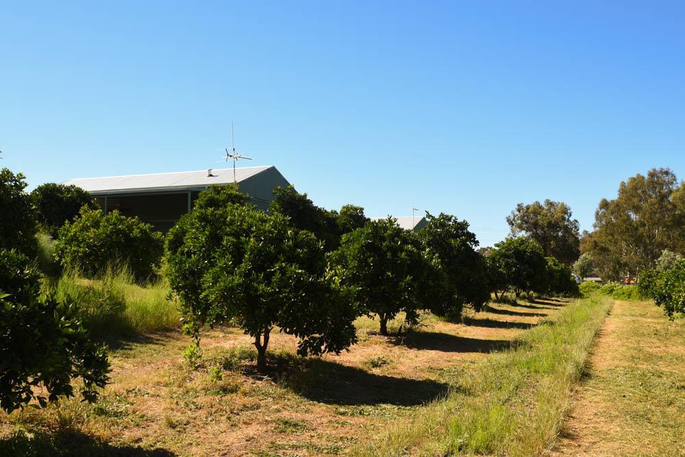 Swan Valley Sisters Henley Brook Dış mekan fotoğraf