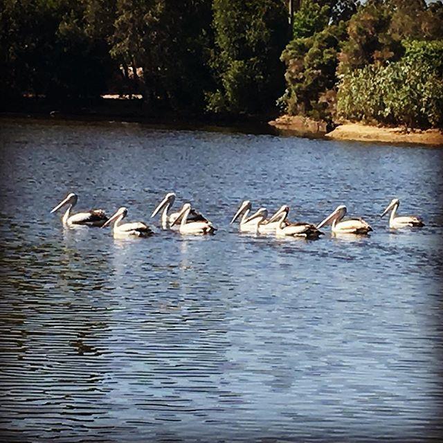 Swan Valley Sisters Henley Brook Dış mekan fotoğraf